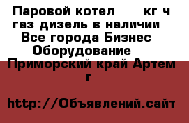 Паровой котел 2000 кг/ч газ/дизель в наличии - Все города Бизнес » Оборудование   . Приморский край,Артем г.